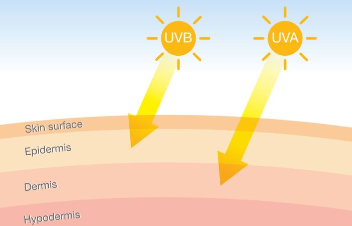 Understanding UVA and UVB Rays